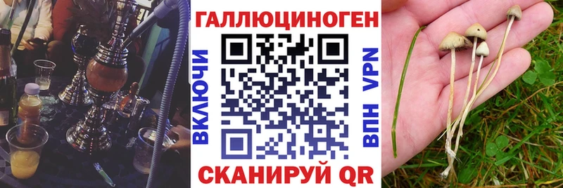 Галлюциногенные грибы мицелий кракен сайт Приволжский