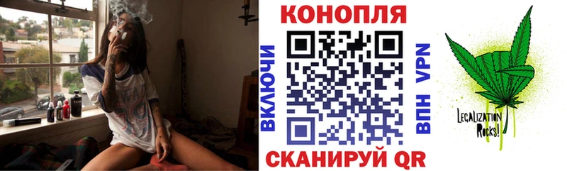 МАРИХУАНА сатива  Приволжский 